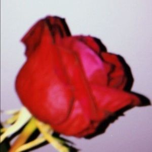 Meet your Posher, Kinnidy